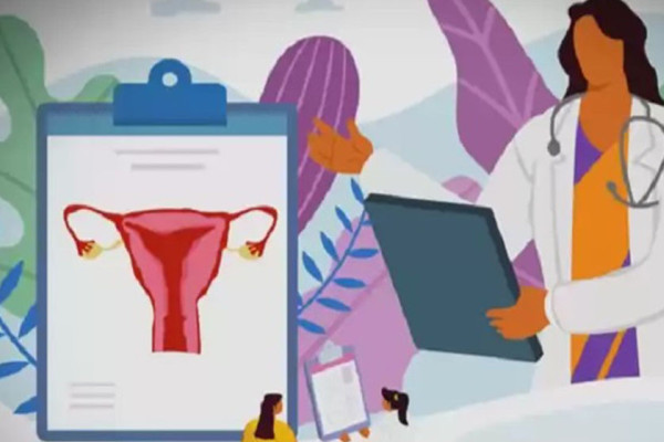 प्रजनन स्वास्थ्य अधिकारसम्बन्धी विश्वव्यापी सुझाव कार्यान्वयन गर्न माग